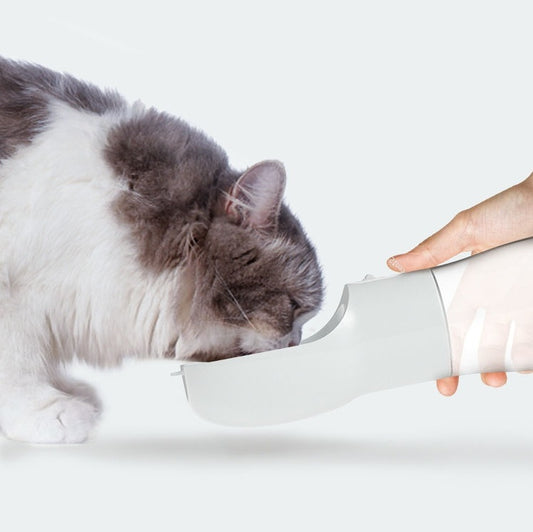 PawSip™ Travel Water Bottle
